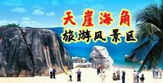 啊啊啊网站海南三亚-天崖海角旅游风景区