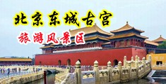 免费无码大鸡巴肏大屄视频中国北京-东城古宫旅游风景区